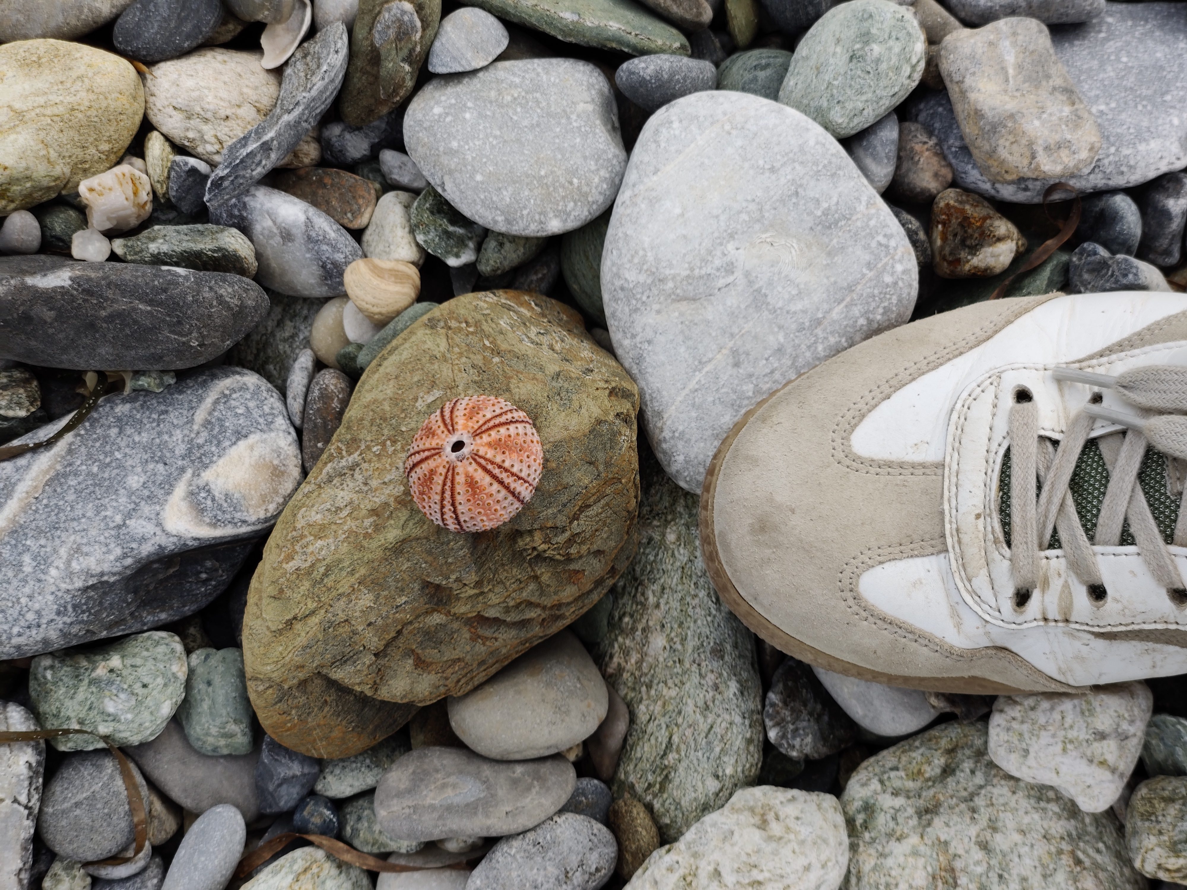 Besuch bei Oma, Orpheus und den Musen (Teil II)