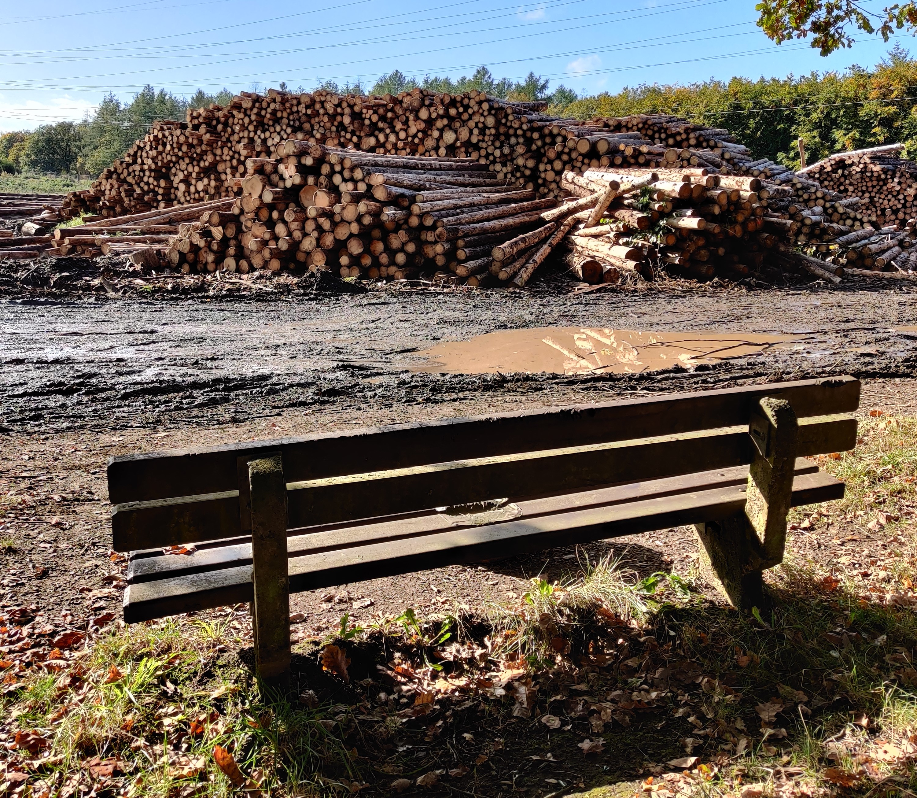 Unterwegs in Deutschland